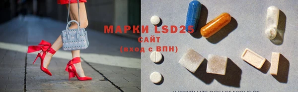PSILOCYBIN Гусев
