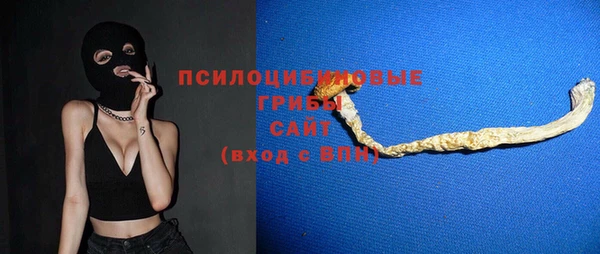 PSILOCYBIN Гусев
