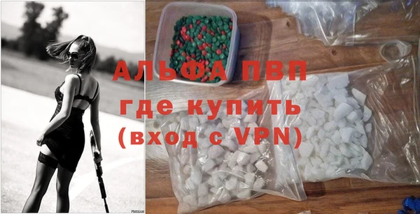 PSILOCYBIN Гусев