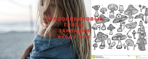 PSILOCYBIN Гусев