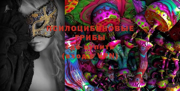 PSILOCYBIN Гусев