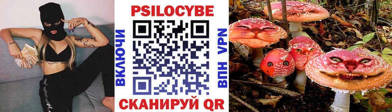 Псилоцибиновые грибы MAGIC MUSHROOMS  дарнет шоп  Ростов-на-Дону 