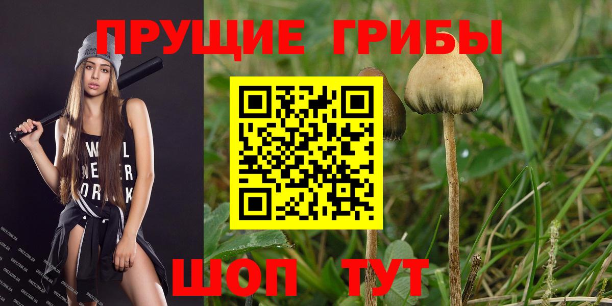 Галлюциногенные грибы Psilocybe  Вход с VPN  Ростов-на-Дону  Галлюциногенные грибы GOLDEN TEACHER 